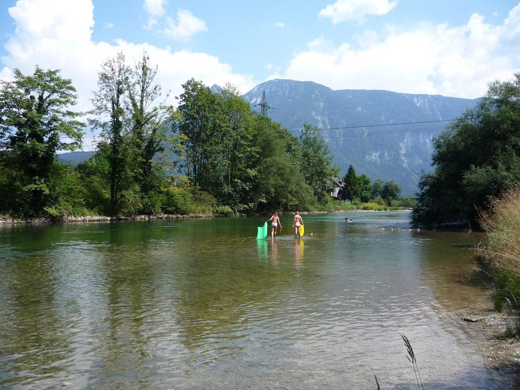 Landhaus Hallstatt Feeling - Apartment - Self Check-In Bad Goisern Eksteriør bilde